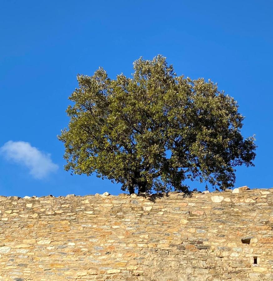 Holiday home Maison St Laurent Olargues